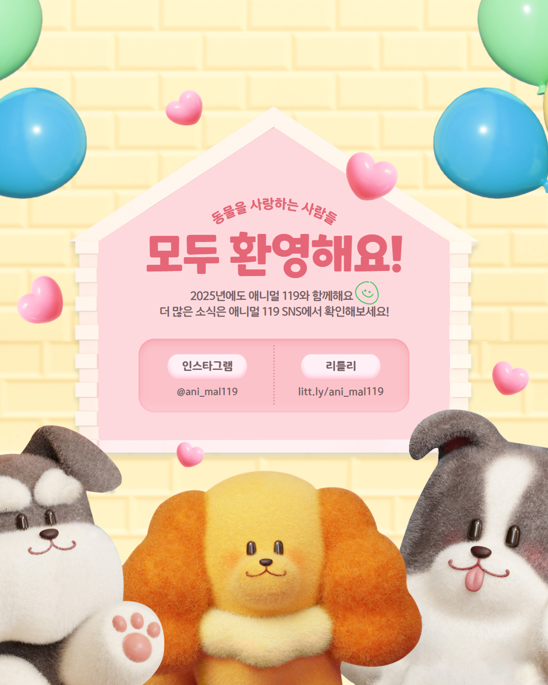 애니멀119 사전 기획회의