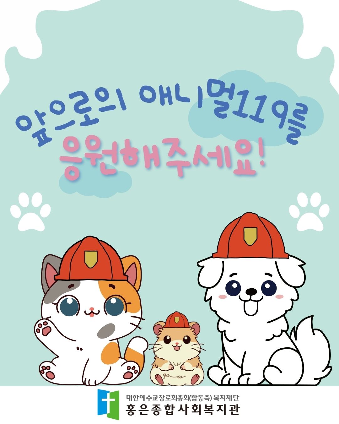 애니멀119 워크숍