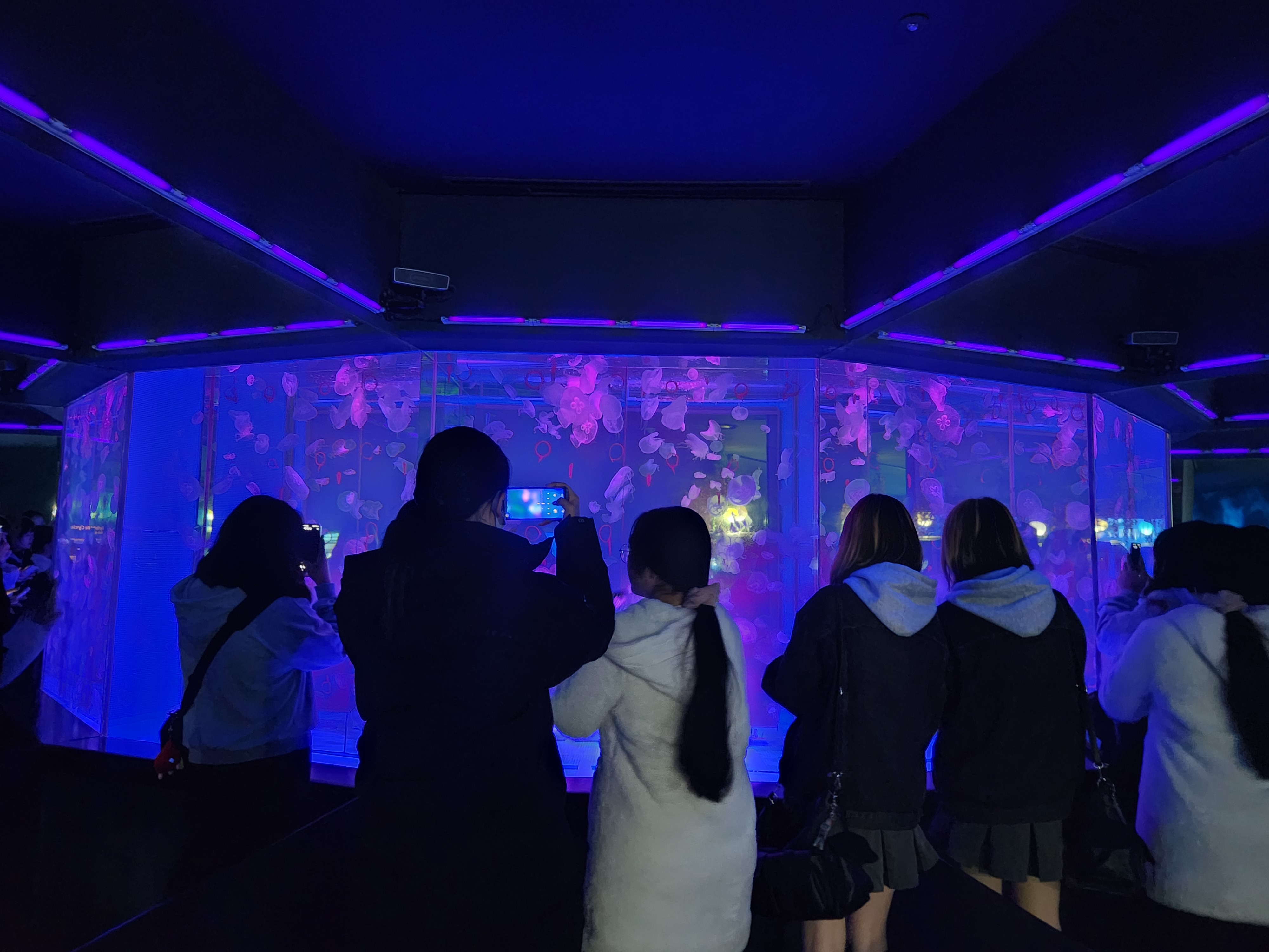 꿈꾸는 아이들 (중등그룹) 특별활동 진행