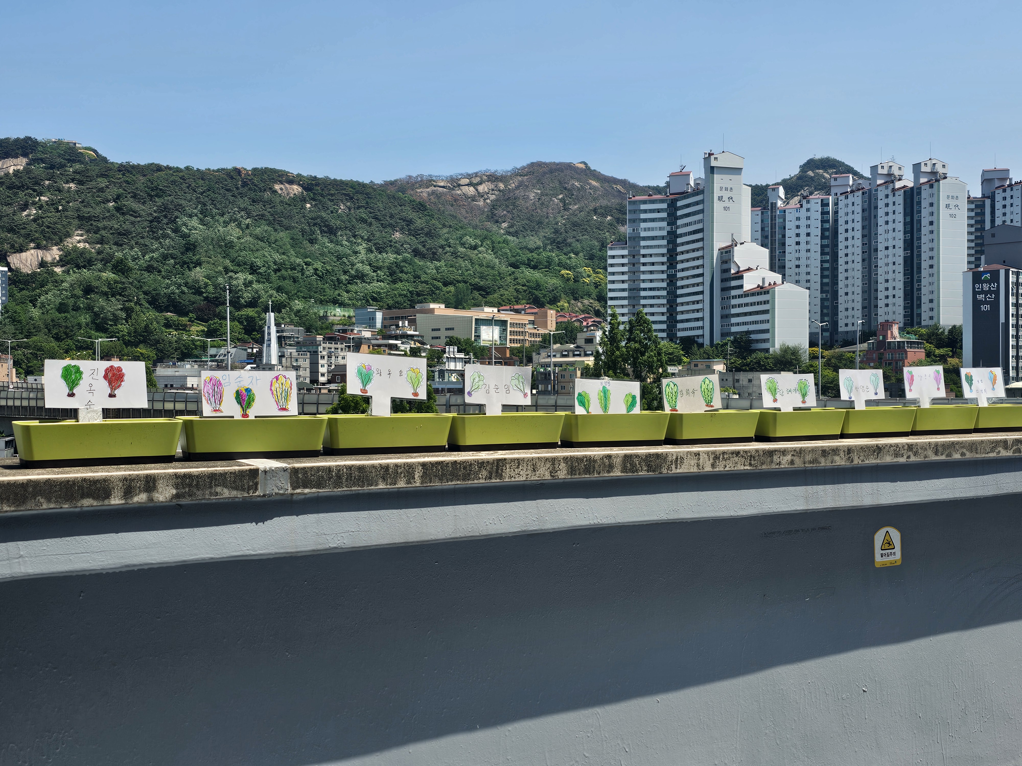 ​어르신돌봄지원사업 봄봄 원예활동 1~2회기 진행